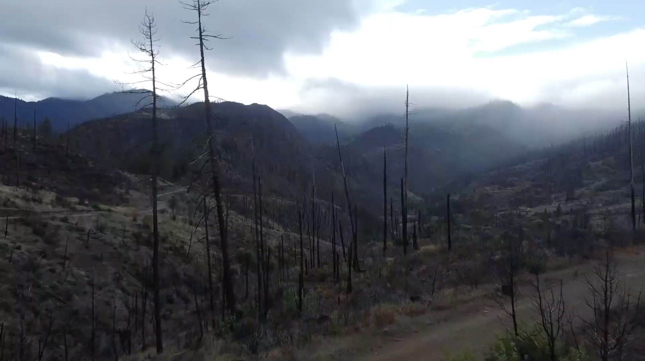 Fire-adapted landscape in the Kalmiopsis Wilderness
